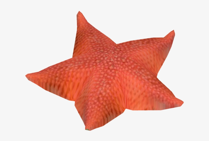 Antarctic Sea Star - Wiki, transparent png download