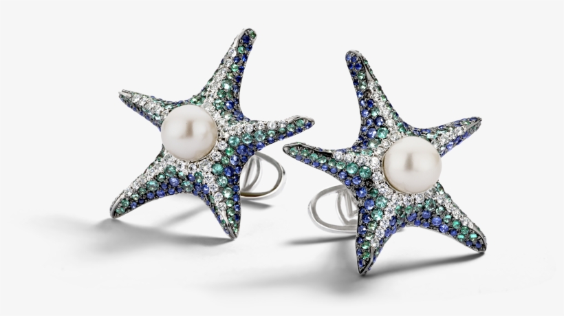 Pacific Sea Star - Earrings, transparent png download