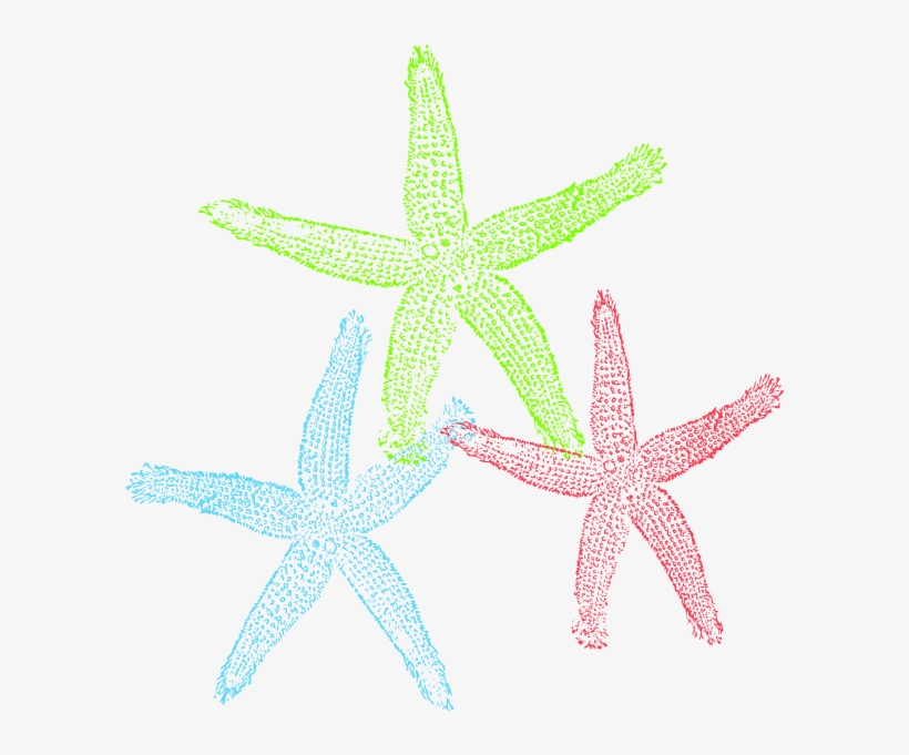 Yellow Clipart Sea Star - Free Starfish Clip Art, transparent png download