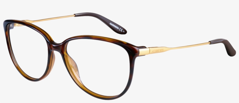 Shop The Cat Eye Shaped Carrera Glasses With Free Lenses - Guess Black Gold Eyeglasses, transparent png download