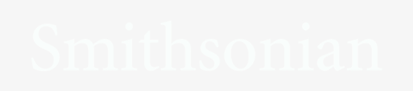 Brain Makes Decisions The Way Alan Turing Cracked Codes - Welcome Sign, transparent png download