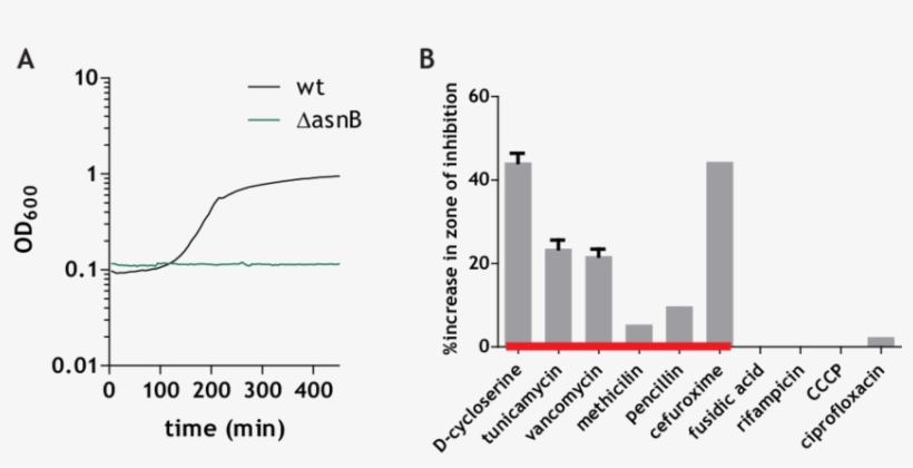 Increased Sensitivity Of The Dasnb Mutant To Lysozyme - Growth Curve, transparent png download