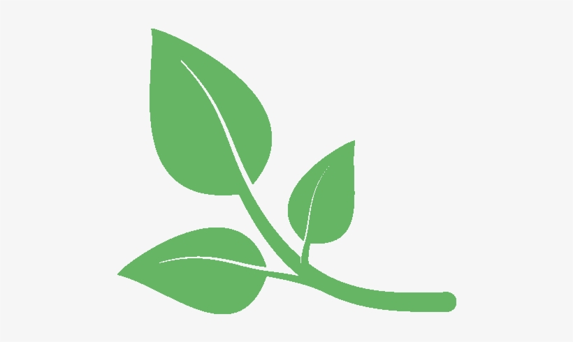 Poc Logo Transparent - Pregnancy, transparent png download