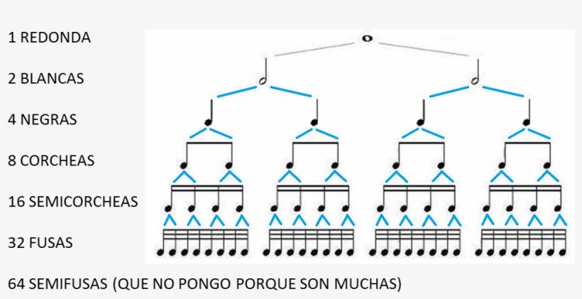 1 Redonda = 2 Blancas = 4 Negras = 8 Corcheas = 16 - Architecture, transparent png download