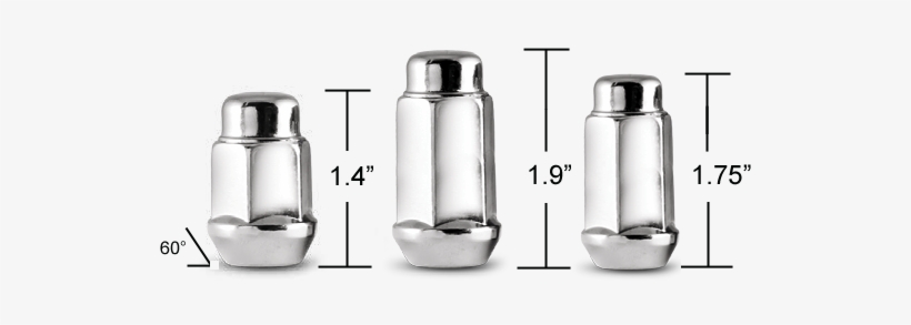 Acorn Bulge Nuts - Nut, transparent png download