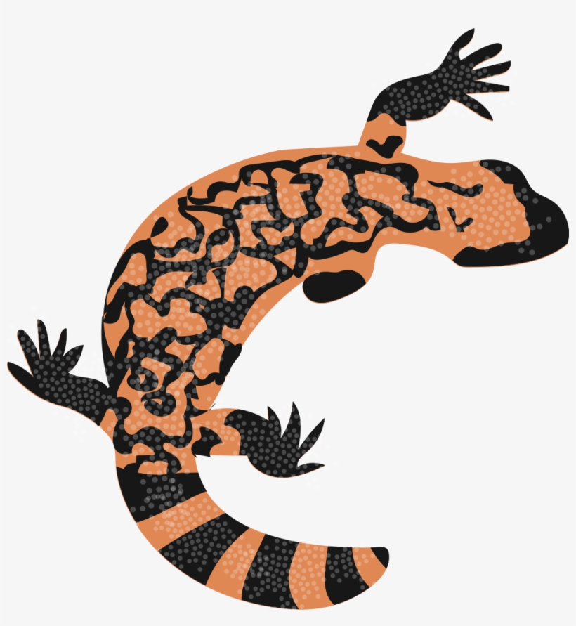 Our Mixed Up Class From Iowa Visits The Jungle, transparent png download