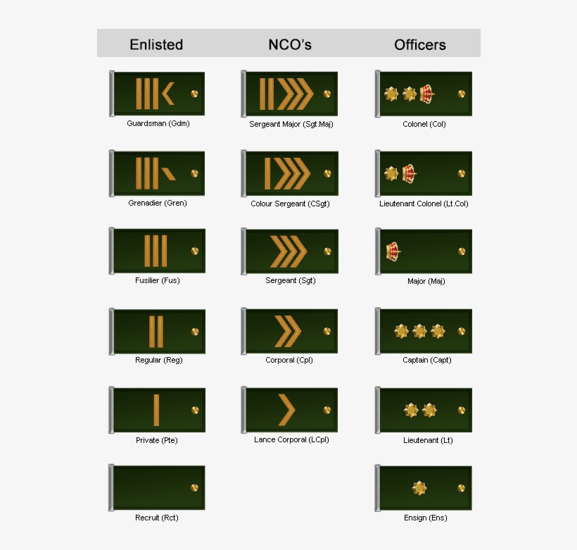 Administration And Main Operations Of The Regiment - Doorbird, transparent png download