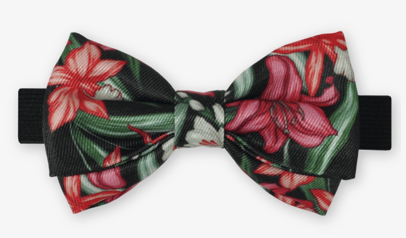 Gravata Borboleta Floral Arlindo Grund Dois Maridos - Bow Tie, transparent png download
