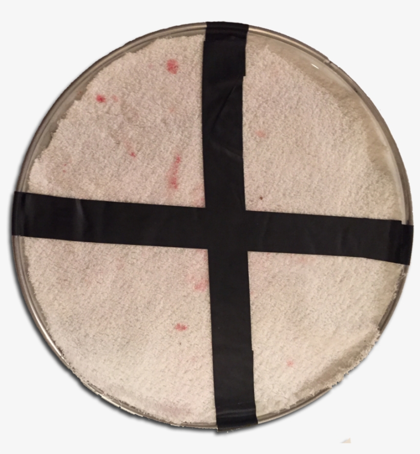 Bloodlinesnareback, transparent png download