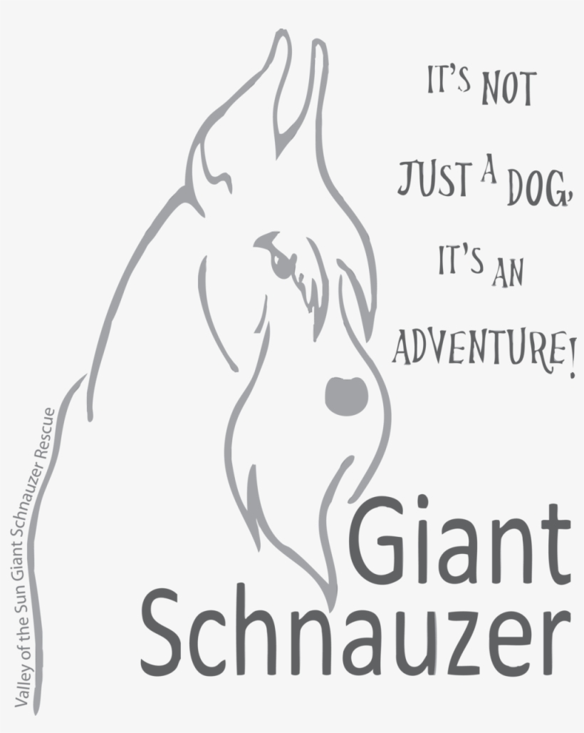 1001 Dg T Adventure Head Silhouette Light Shirt Dkgreyprint - Bad Homburg Vor Der Höhe, transparent png download