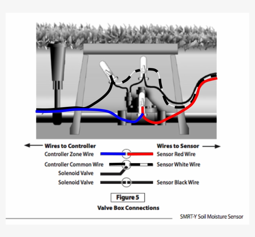 Rachio Compatibility With Rain - Rainbird Smrt Y, transparent png download