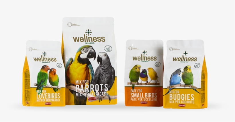 All Products - Parrot, transparent png download