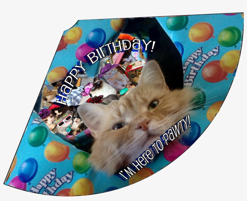 Here To Pawty Birthday Hat - Hat, transparent png download