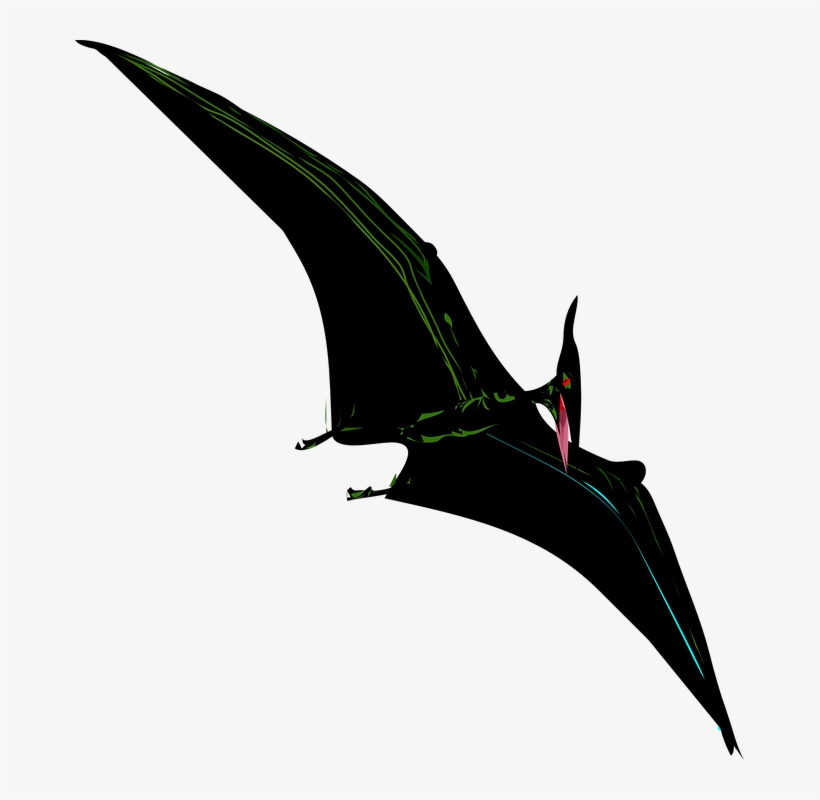 Flying Bird Png 16, Buy Clip Art - Coloring Books Jurassic World: Creative Coloring Animals, transparent png download