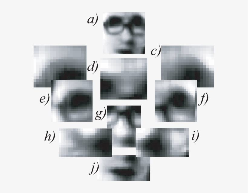 Example Of Extracted Face Components - Graphic Design, transparent png download