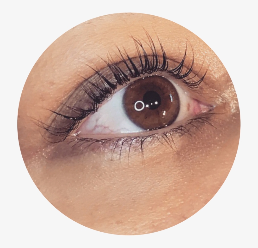 Eyelash Lifting & Tinting - Eye Shadow, transparent png download