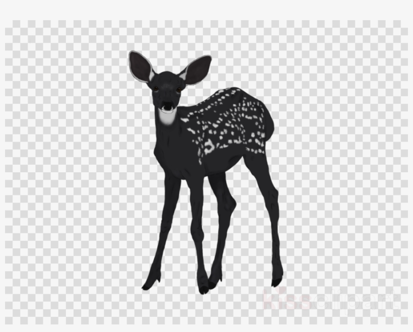 Wildlife Clipart Reindeer Antler Antelope - Female Symbol Transparent Background, transparent png download