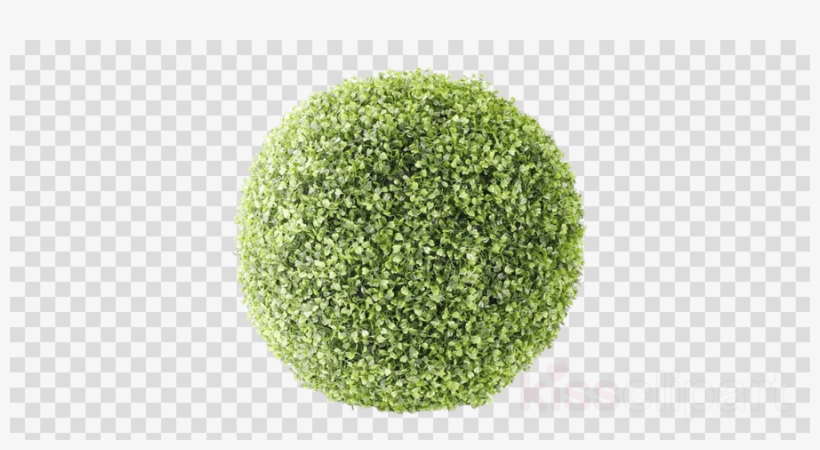 Bush Png Clipart Shrub Computer Icons - Santa Claus Png, transparent png download