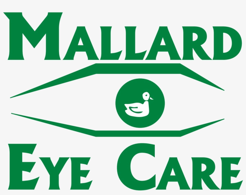 Refrigerator Magnet, transparent png download