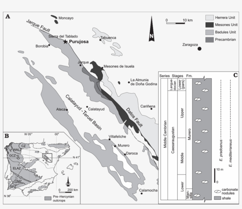 Geological Setting Of The Purujosa Trilobite Assemblage - Iberian Peninsula, transparent png download