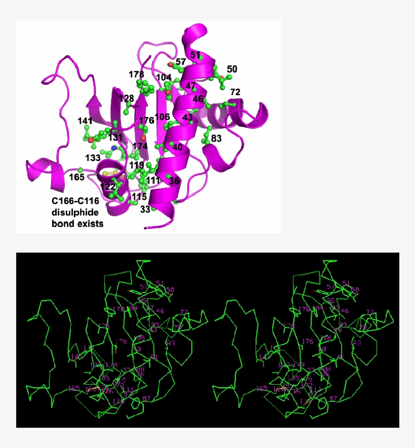 The Model Is Shown As A Ribbon In Magenta With Numbered - Graphic Design, transparent png download