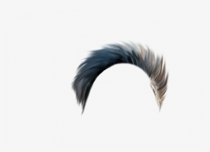 To Download All Backgrounds And Png Follow These Steps - Hair, transparent png download