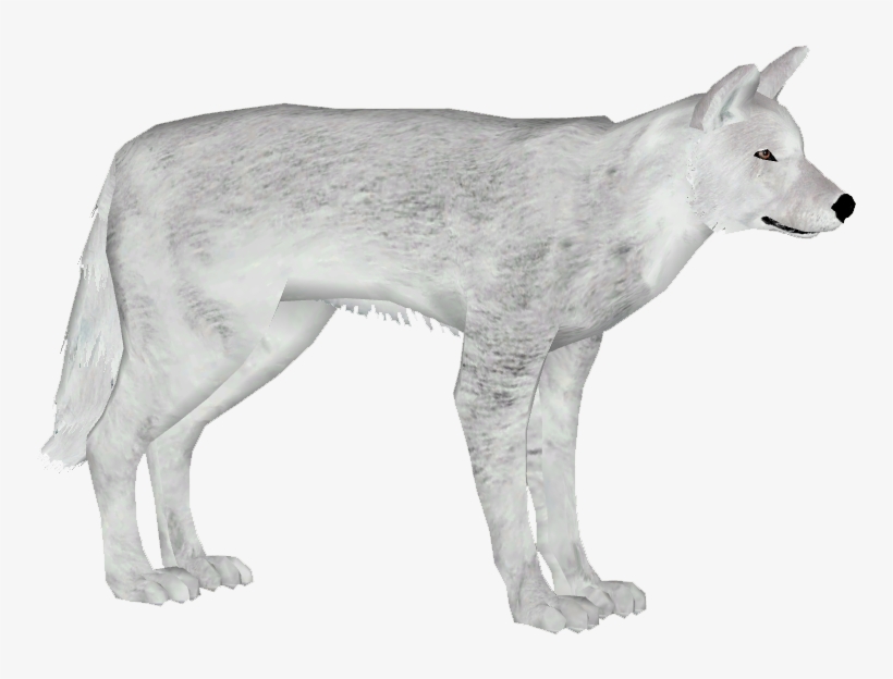 German Shepherd Dog 9 - Wolfdog, transparent png download