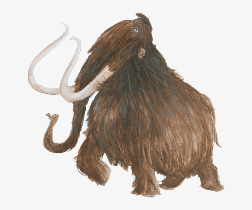 2015 Harmen Van Straaten / Rijksmuseum Van Oudheden - Masai Lion, transparent png download