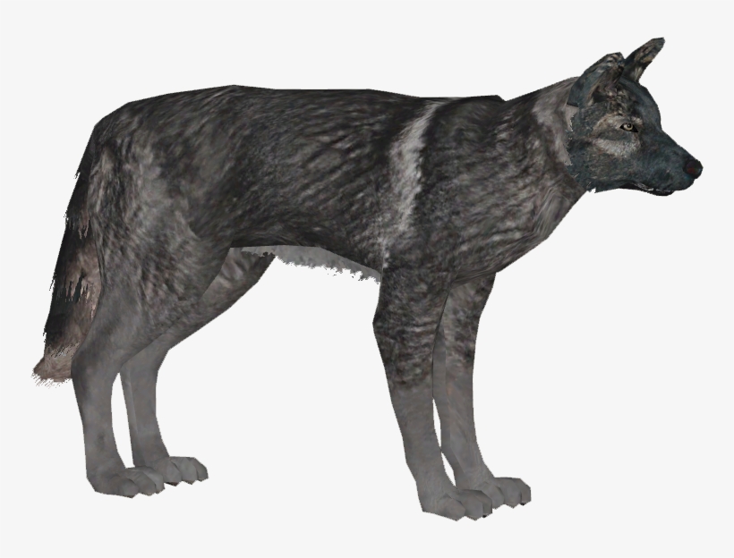 German Shepherd Dog 5 - Wiki, transparent png download