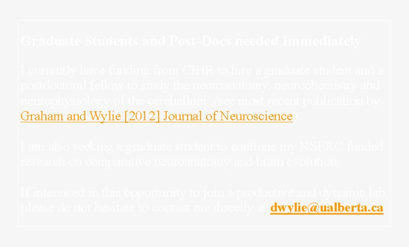 Graduate Students And Post-docs Needed Immediately - Apotik Century, transparent png download