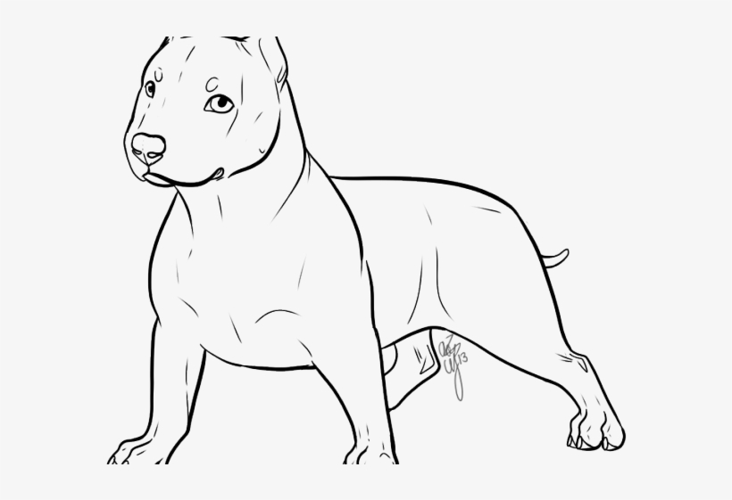 Drawn Pitbull Transparent - Drawing, transparent png download
