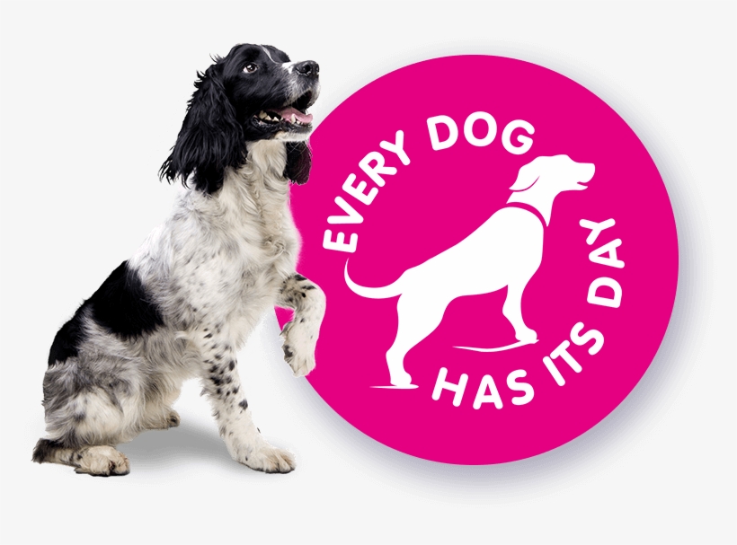 View The Range - Dog, transparent png download