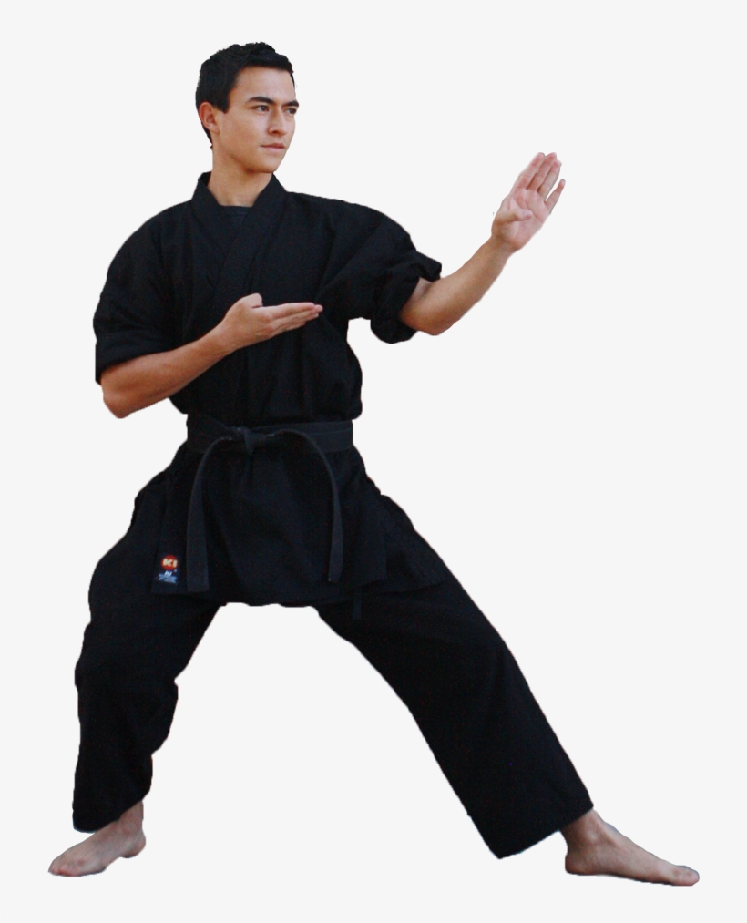 E - Karate Man Png, transparent png download