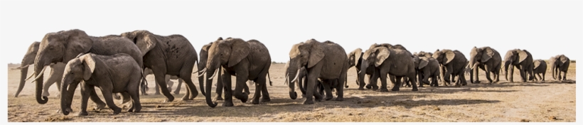 Slide Background - Charity Networking @ Furnish And Fettle, transparent png download