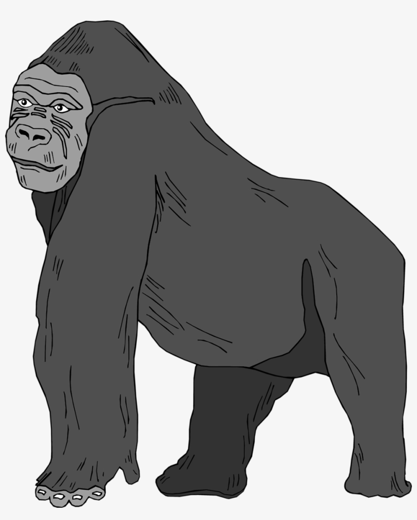 Gorilla - Gorilla Clipart Transparent Background, transparent png download