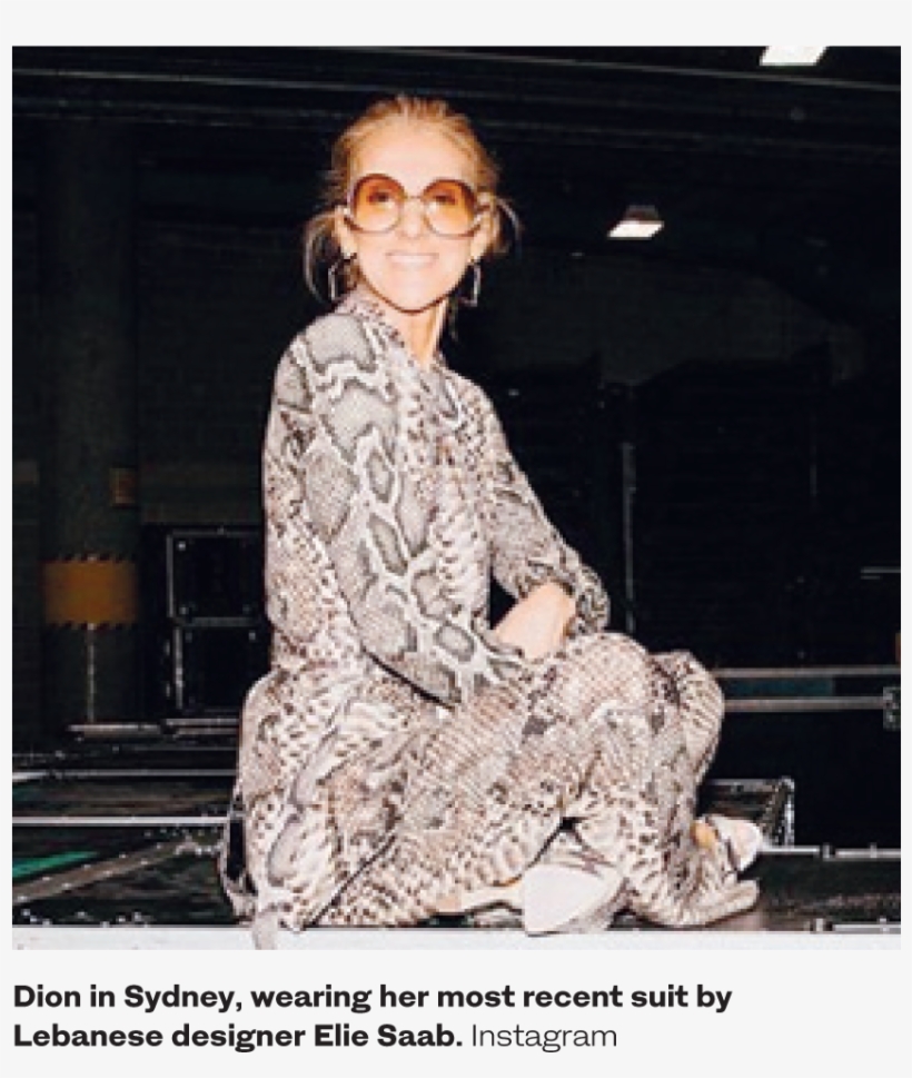 One User Drew Comparisons Between The Canadian Singer - Celine Dion Sydney, transparent png download