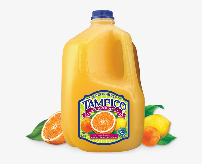 Tampico - Tampico Beverages Tampico Kiwi Strawberry 50oz, transparent png download