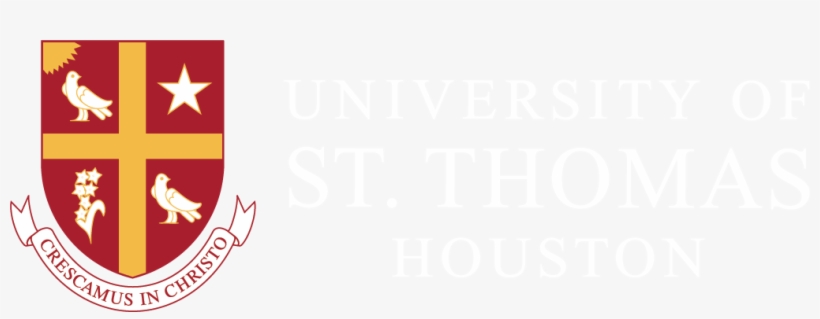 Find Photos Of You And Your Friends - University Of St. Thomas, transparent png download