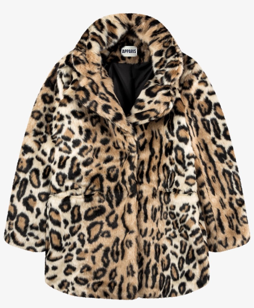 Coat, transparent png download