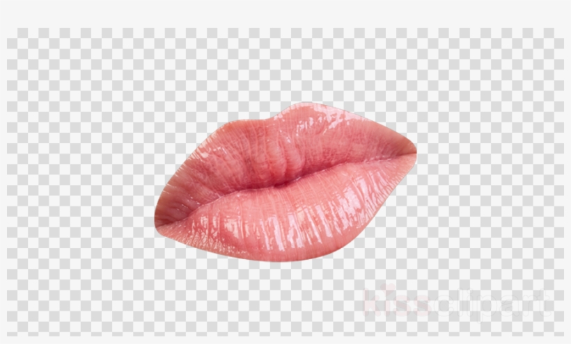 Download Lips Transparent Png Clipart Lip Clip Art - Clip Art, transparent png download