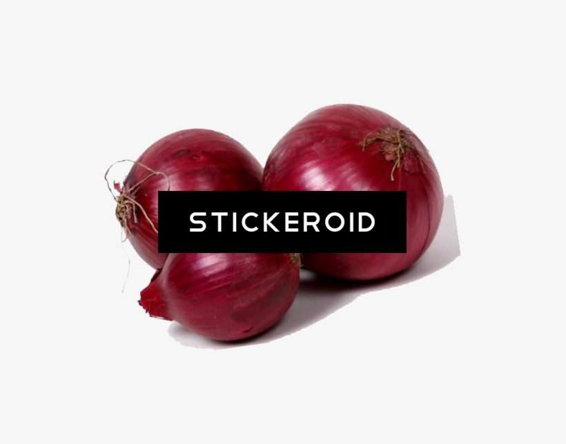 Red Onion - Splendour Seeds Onion Big - Dark Red Nasik Red (n 53), transparent png download