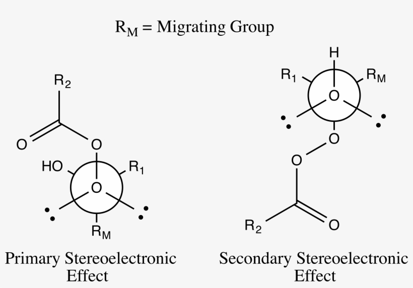 Baeyer-villiger Oxidation Stereoelectronic Effects - Baeyer–villiger Oxidation, transparent png download