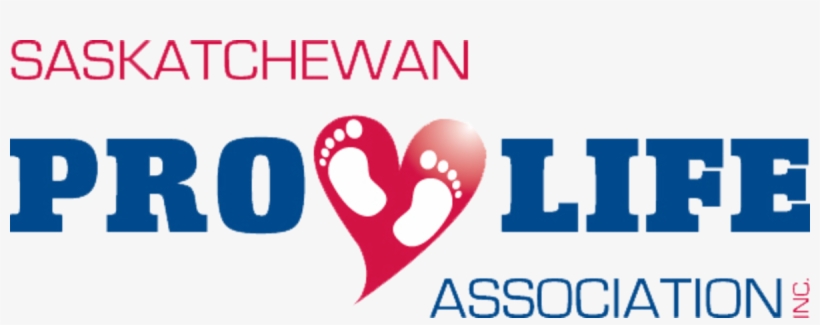 "respect Life" Quotes - Taekwondo, transparent png download