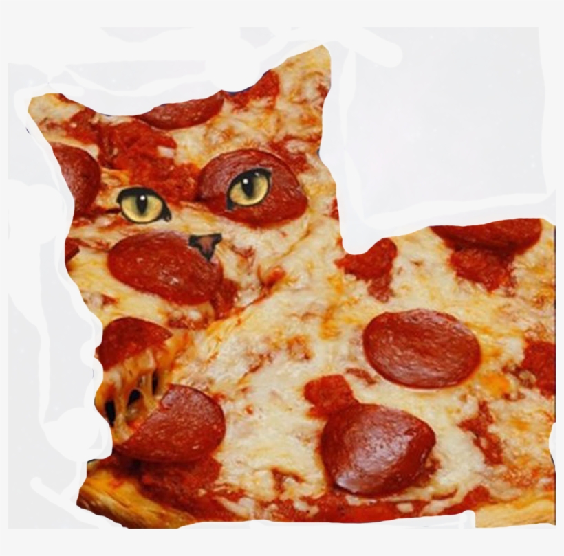 00 - - Cat On Pizza Png, transparent png download