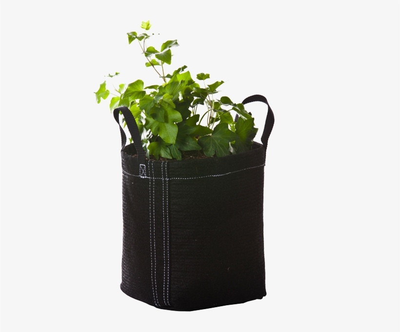 Geopot 1 Gal Handles V=1541513680, transparent png download