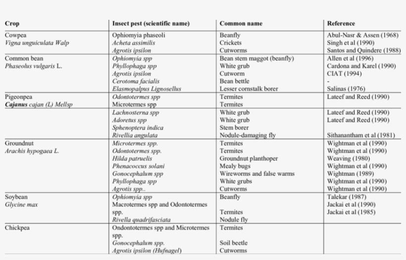 Insect Pest Of Leguminous Plants That Have Atleast - Legume, transparent png download