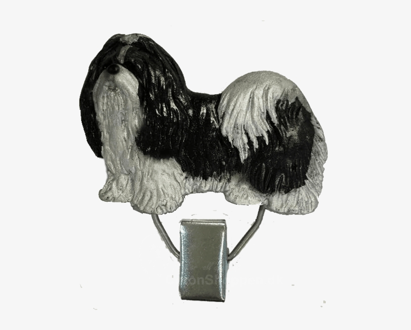 Shih Tzu, transparent png download