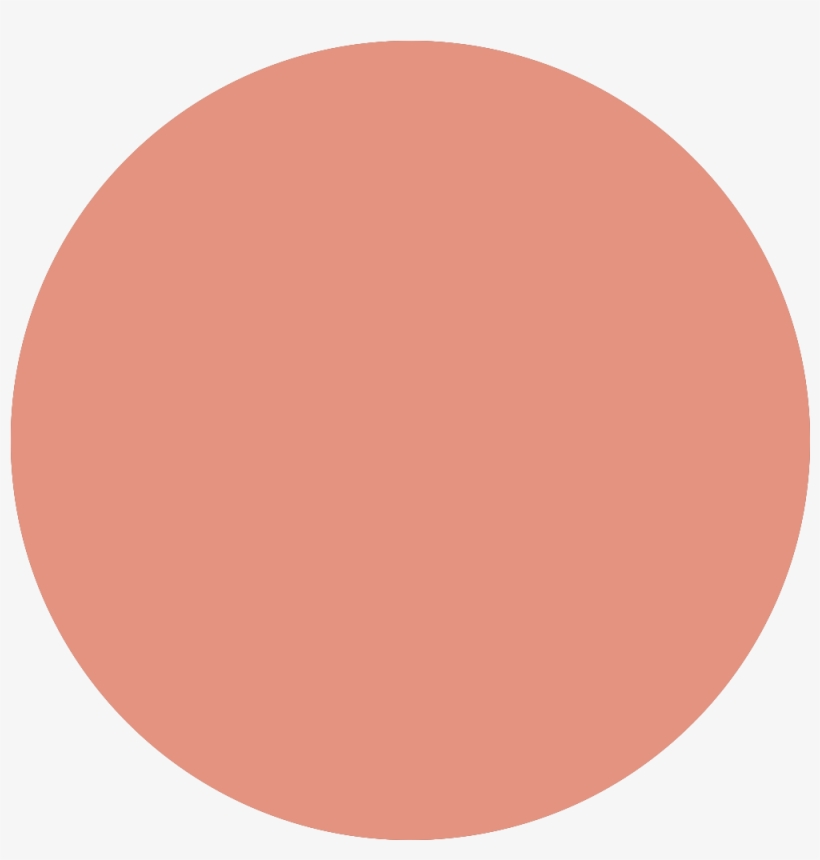 Sea Star 8/18, transparent png download