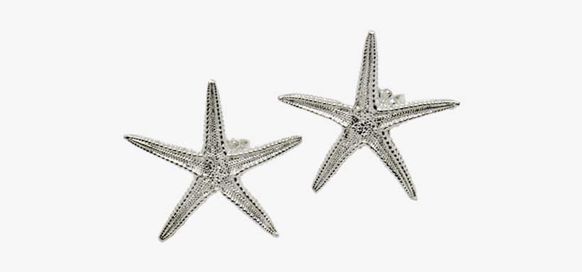 Sea Star Large Stud Earrings - Earring, transparent png download