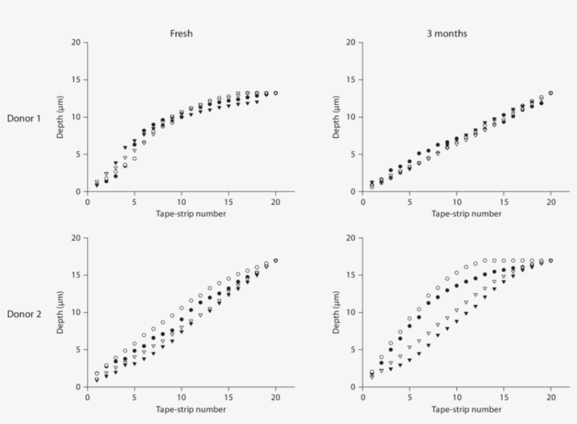 Depth Inside The Sc Reached After Sequential Tape-strips - Diagram, transparent png download